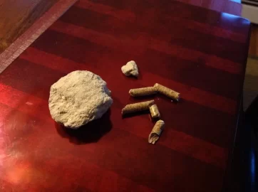 [Hearth.com] Beware Some Super Premium Pellets. Auger FAIL