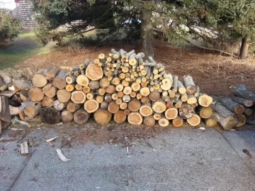 [Hearth.com] new years eve score....