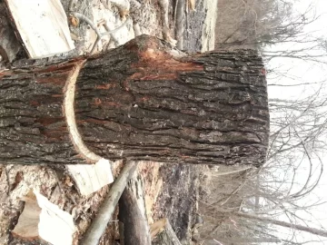 [Hearth.com] Black Locust and Cherry confirmation