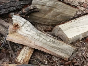 [Hearth.com] Black Locust and Cherry confirmation