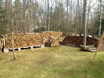 [Hearth.com] Cover the Birch early or later?