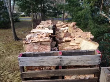 [Hearth.com] Cover the Birch early or later?