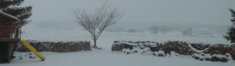 [Hearth.com] Cold outside. Thank god for wood heat