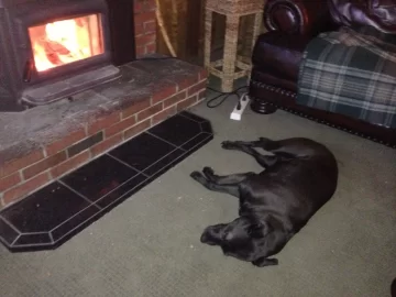 [Hearth.com] Maybe it's the boy scout in me but times like these make it all worthwhile.