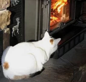 [Hearth.com] Cold outside. Thank god for wood heat