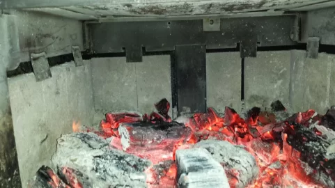 [Hearth.com] Fire brick question