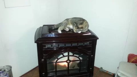 [Hearth.com] Very Cold Here Today!