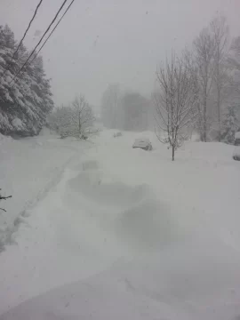 [Hearth.com] Very Cold Here Today!