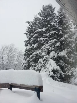 [Hearth.com] Very Cold Here Today!