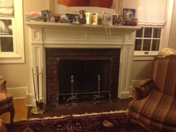 [Hearth.com] Wood Insert