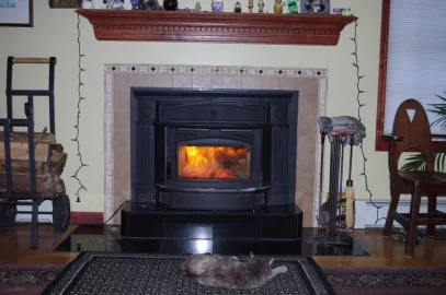 [Hearth.com] Wood Insert