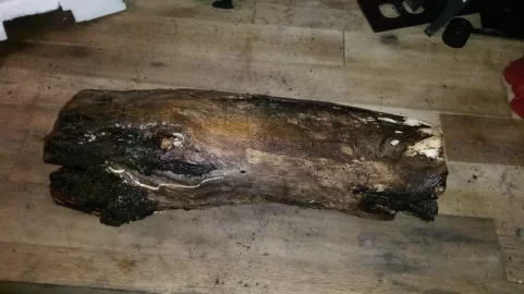 [Hearth.com] What is this? Poplar?