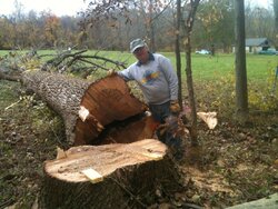 Firewood Chop Saw