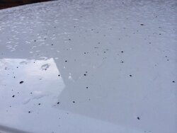 Black crust all over ground/cars this am - anything to worry about?