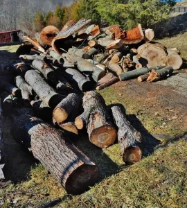 [Hearth.com] SCORE!! Now What Do I Do?!?