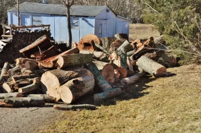 [Hearth.com] SCORE!! Now What Do I Do?!?