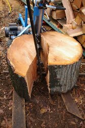 When do you begin gathering wood for the next burn season?