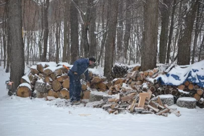 [Hearth.com] Snow and woodcutting