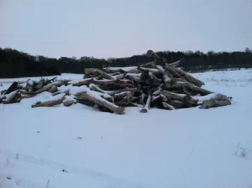 [Hearth.com] Snow and woodcutting