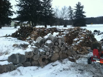 [Hearth.com] Snow and woodcutting