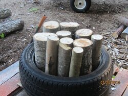Old tires are great