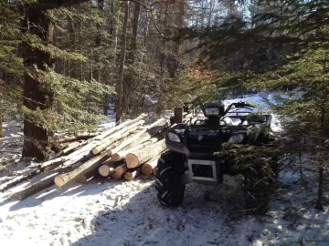 [Hearth.com] Snow Day = time to cut wood