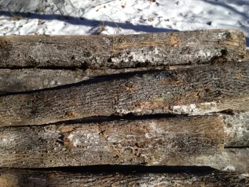 [Hearth.com] Snow Day = time to cut wood