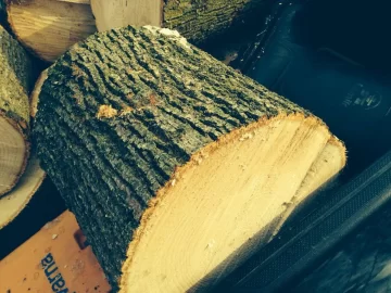 [Hearth.com] Wood id