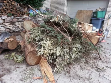 [Hearth.com] What is the one kind of wood that you wouldn't take if somebody payed you?