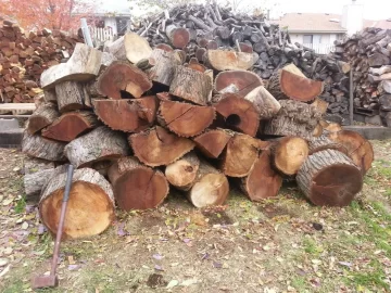 [Hearth.com] What is the one kind of wood that you wouldn't take if somebody payed you?