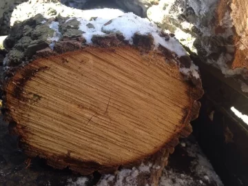 [Hearth.com] Some road crew scrounging. id please