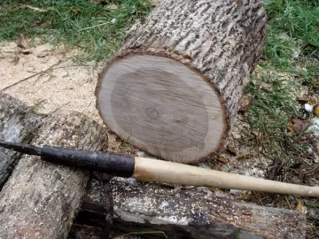 [Hearth.com] Wood id