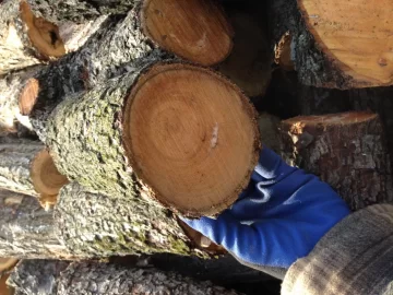 [Hearth.com] Wood i.d.