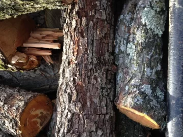 [Hearth.com] Wood i.d.