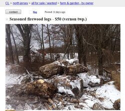 firewood logs.jpg