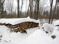 Covered Wood stack thoughts