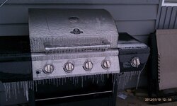 New Grill: To Cover or Not To Cover?