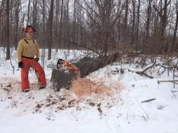 [Hearth.com] Snow and woodcutting