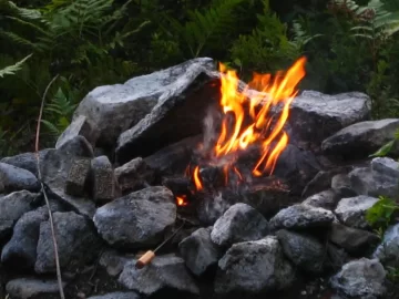 Repose Wood Pellet Fire Logs, the firewood alternative