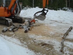 Processing a felled tree without ruining your chains?