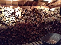 Seasoning Firewood