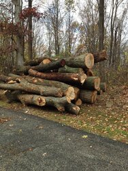 Novembers Log Delivery NNJ