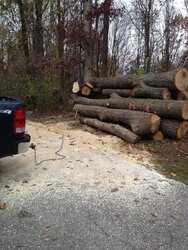 Novembers Log Delivery NNJ