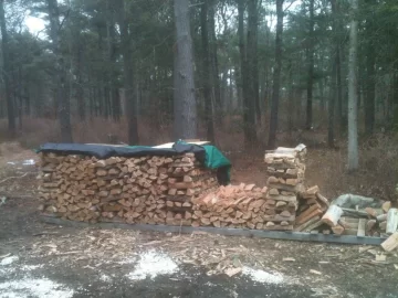 [Hearth.com] I love standing dead oak!