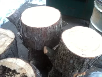 [Hearth.com] Red Pine? Possible good score.