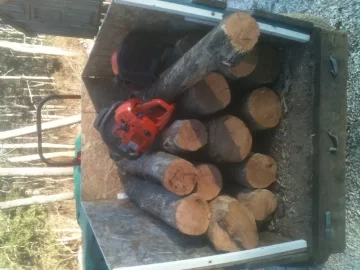 [Hearth.com] I love standing dead oak!