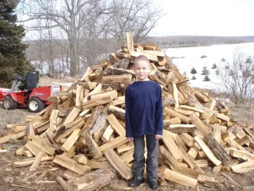 [Hearth.com] How much wood in the pile?