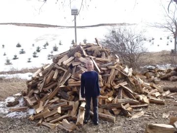 [Hearth.com] How much wood in the pile?