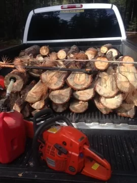 [Hearth.com] Wood ID for Fun and Profit