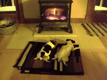 [Hearth.com] Got a beast of the hearth? Post some pics